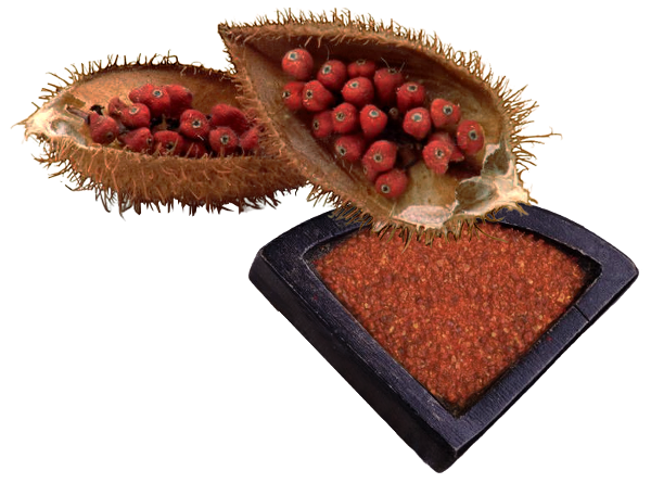 Annatto Achuete