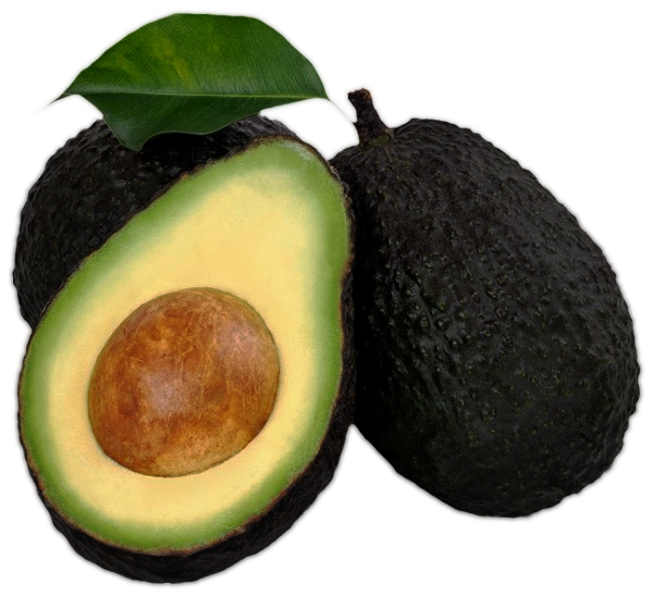 Avocado Avocado