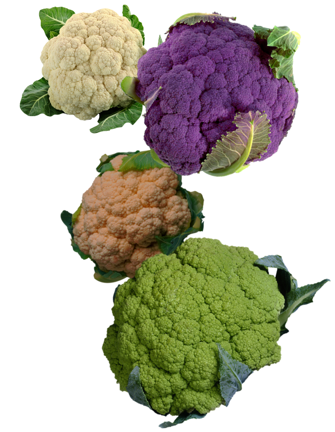 Cauliflower Rainbow