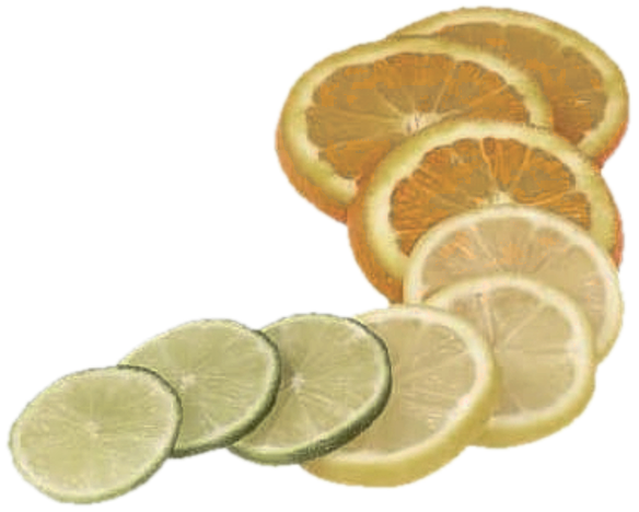 Citrus Slices