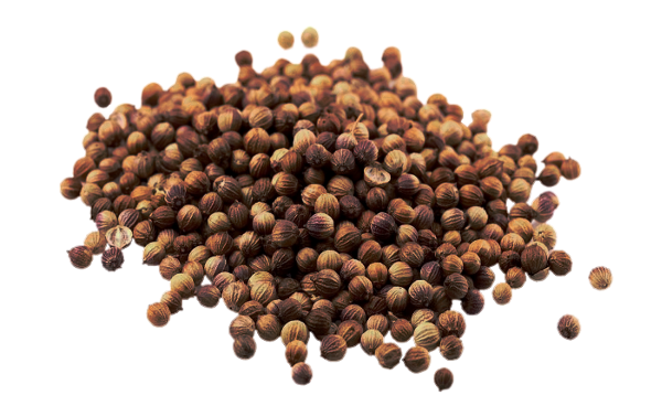 Coriander Seeds