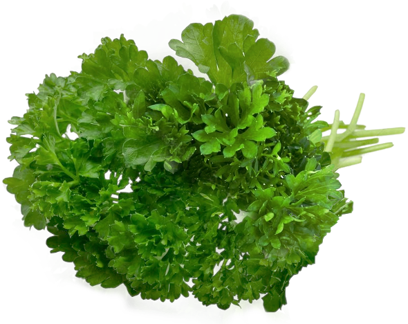 Curly Parsley